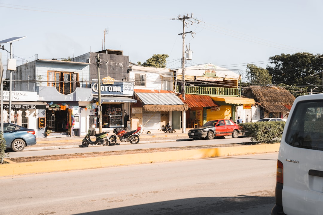 Equipo de mudanza moviendo muebles grandes